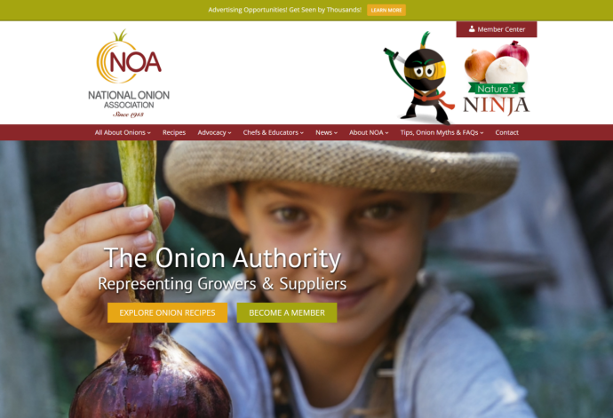 10 Best Greeley CO Web Design Projects We Created The National Onion Association
